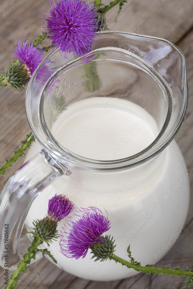 organic fresh milk in the jug with thistle flower organic fresh milk in the jug with thistle flower