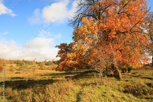 Beautiful autumnal landscape