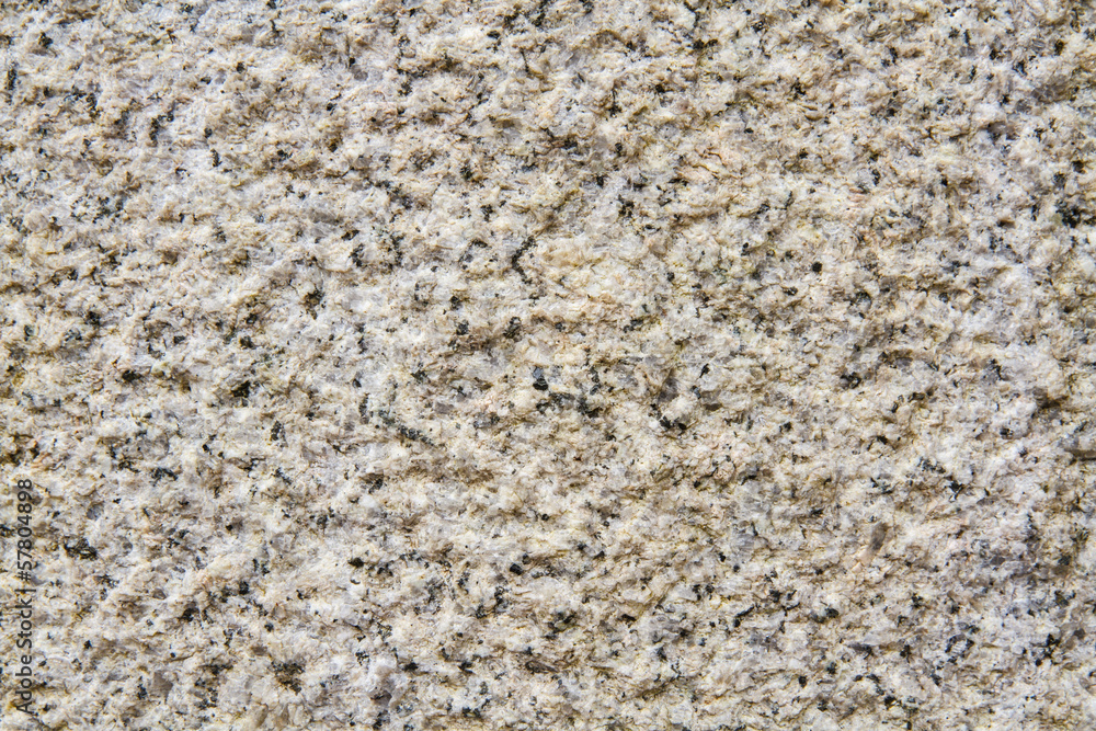 Cement Texture Cement Texture