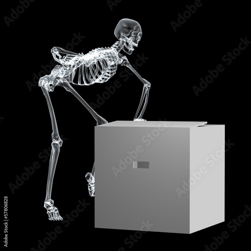 X Ray Skeleton01