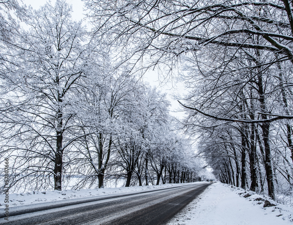 Country snow road.