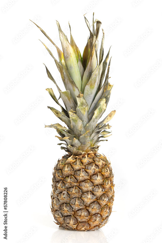 Fototapeta premium Pineapple