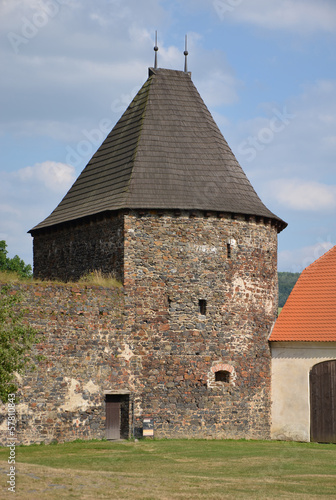 Water castle Svihov