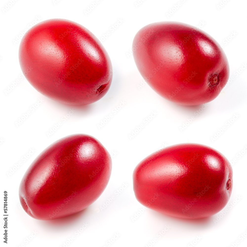 Cornel. collection isolated on a white background. Cornel. collection isolated on a white background.