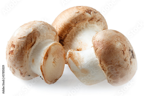 Mushrooms. Royal champignons on a white background