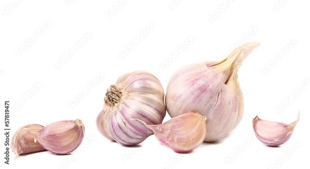 Fresh garlic whole and cloves. Fresh garlic whole and cloves.