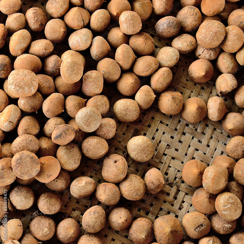 perennial seed perennial seed