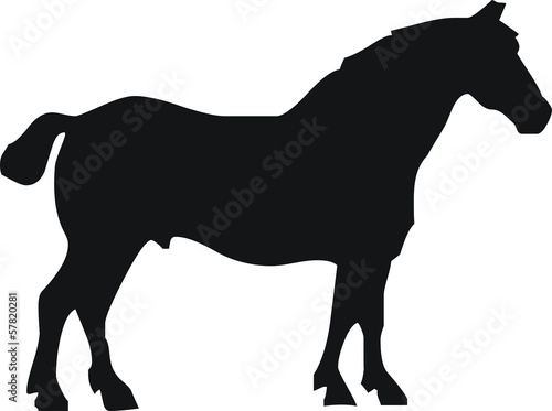 cheval