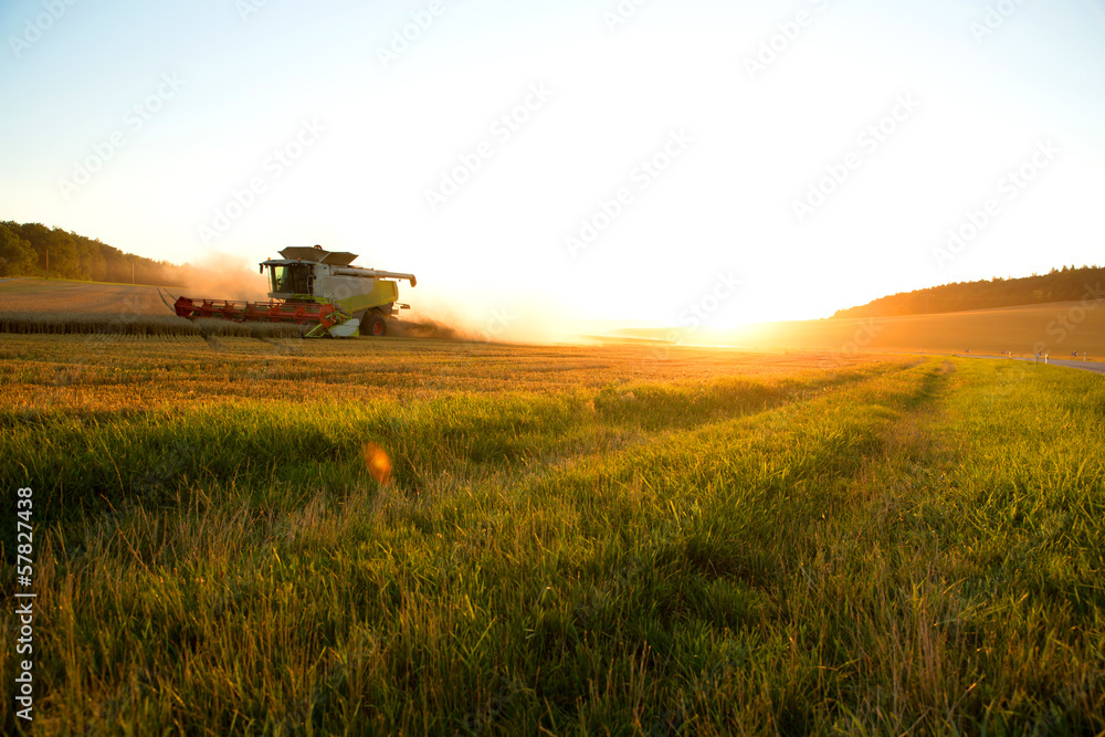 Naklejka premium Ernte im Sonnenuntergang