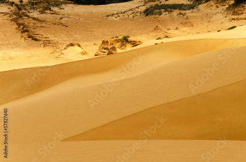Sand Dune View