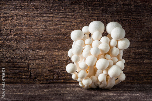 White shimeji mushroom photo