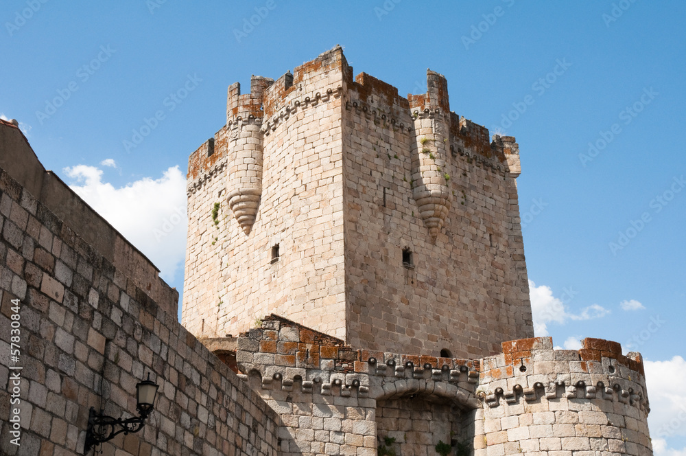 Tower of the castle of the Dukes of Alba, Coria (Spain)