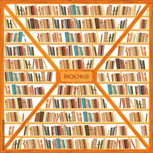 Large bookcase with different books