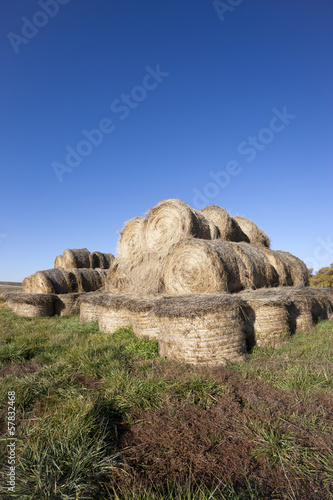 Large bundles of hay. © Gregory Johnston