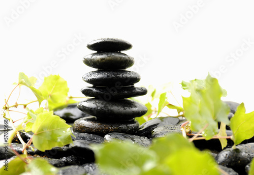 green ivy leaves and stones in balance on wet pebbles