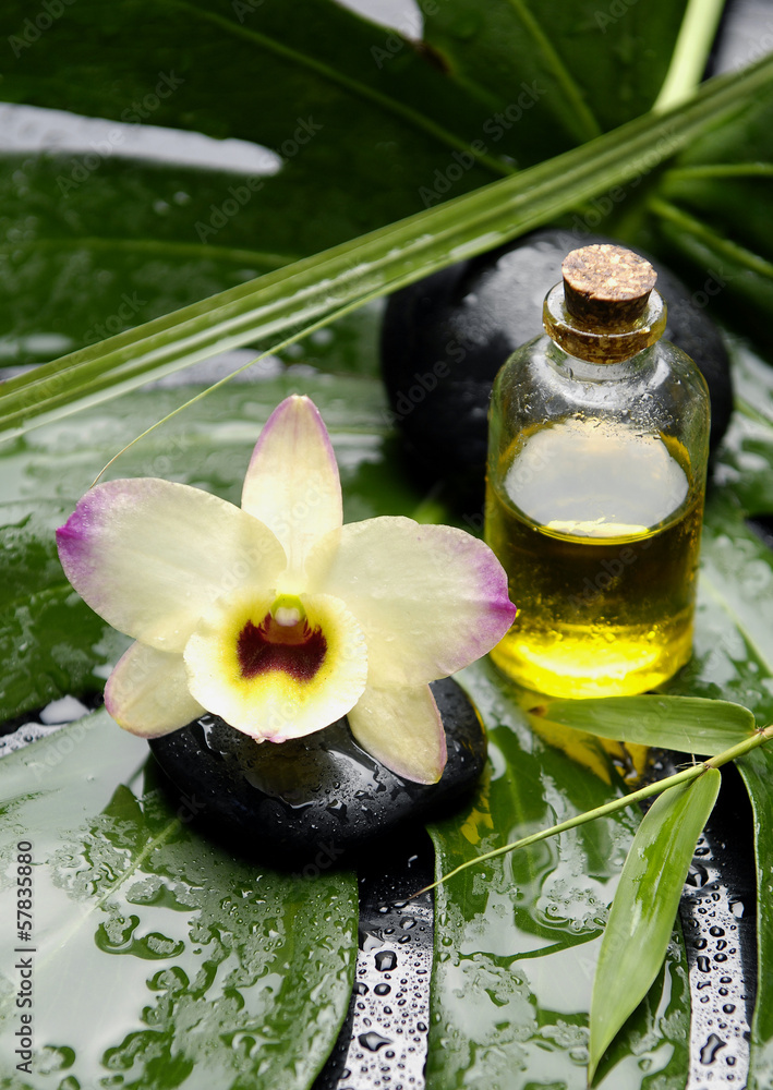 orchid and bottle of oil on green wet leaf orchid and bottle of oil on green wet leaf
