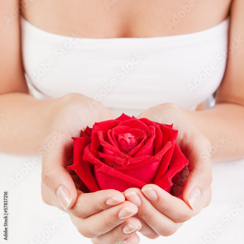 Beautiful woman hands with red rose