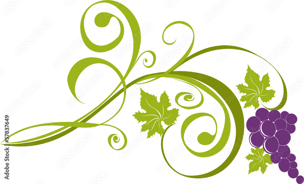 Grapevine. Vector wine design elements Grapevine. Vector wine design elements