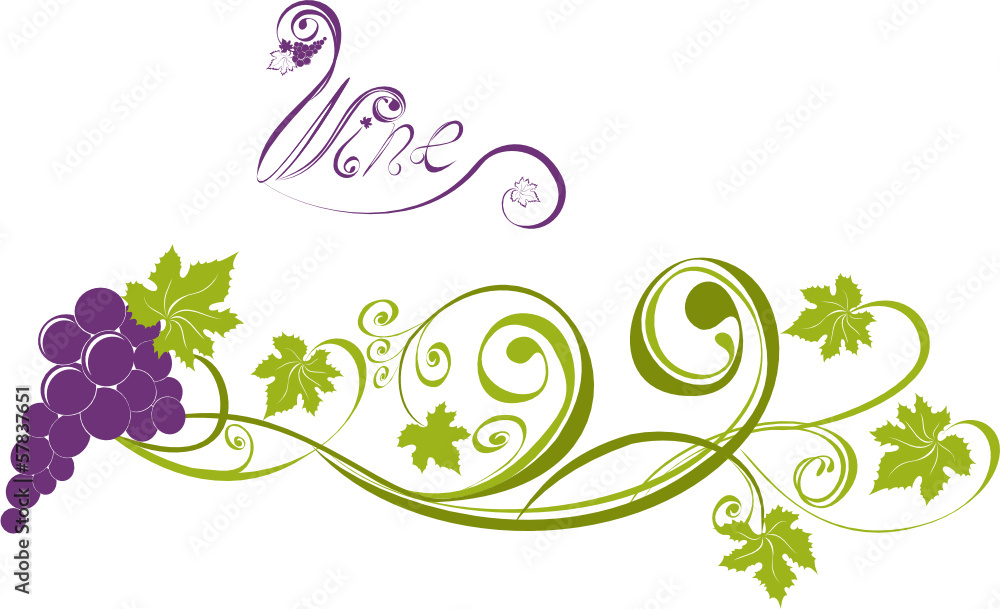 Grapevine. Vector wine design elements Grapevine. Vector wine design elements