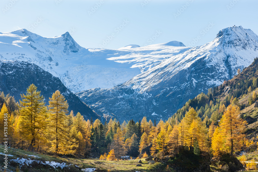 View of an alp valley in autumn colors