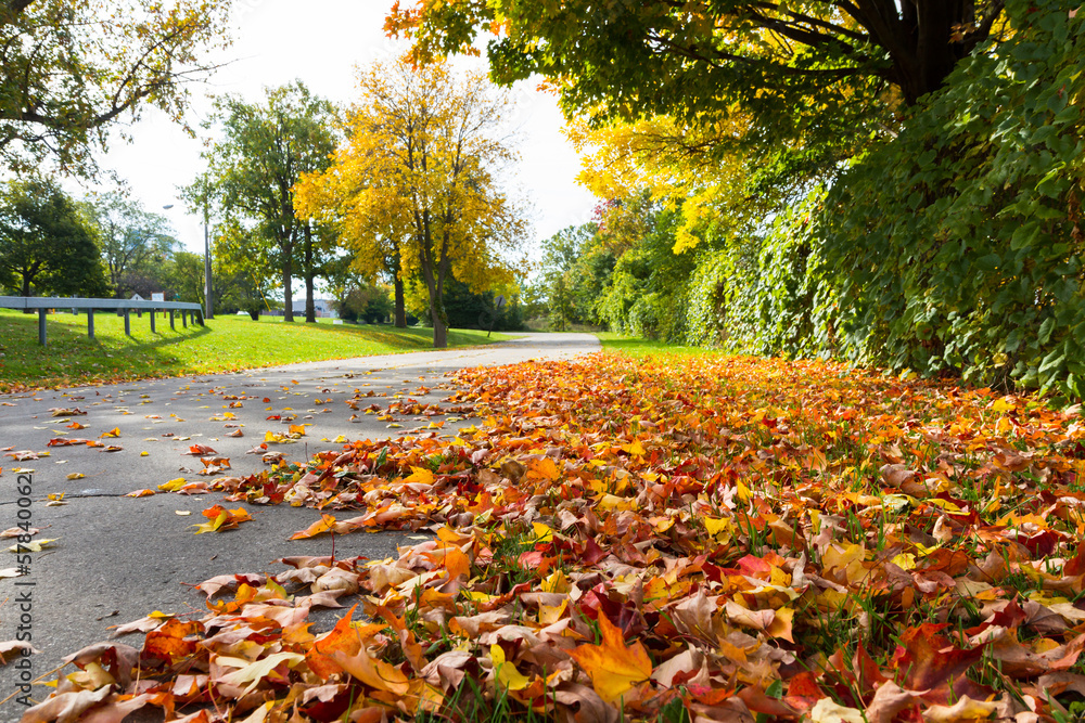Samolepka Niagara Falls in autumn