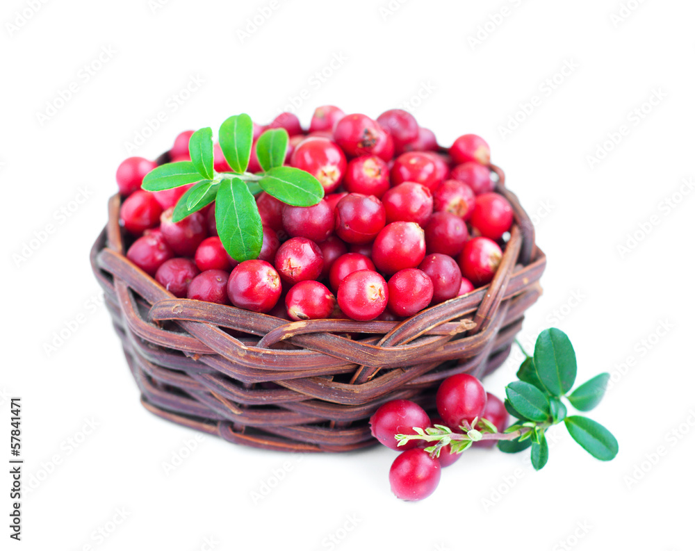 Fresh red cranberries