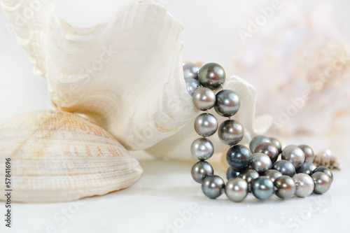 Background of the big white sea shells and black pearls.