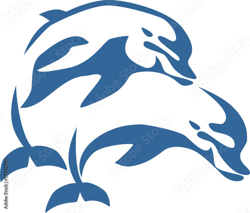 jumping dolphins