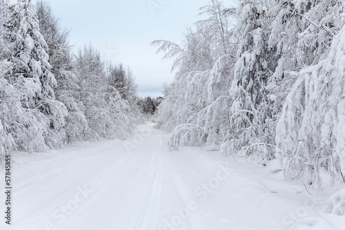 Wintry road and snow-covered branches of trees in winter © Kekyalyaynen