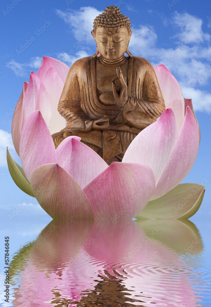 bouddha et fleur de lotus