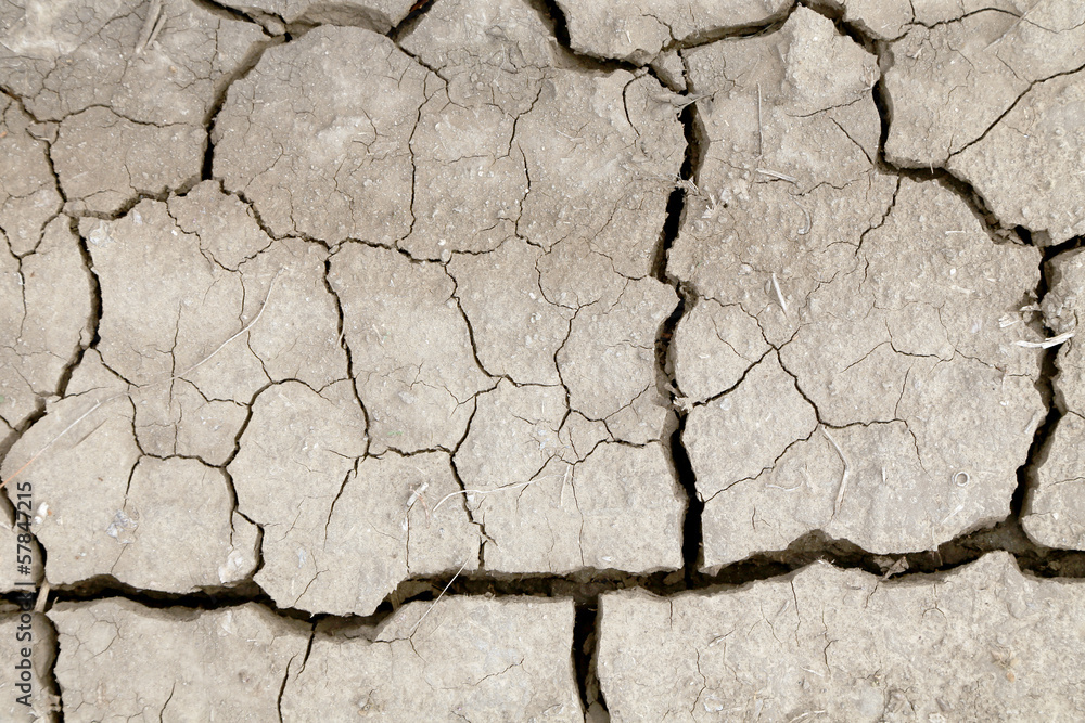 Obraz premium Dry cracked earth