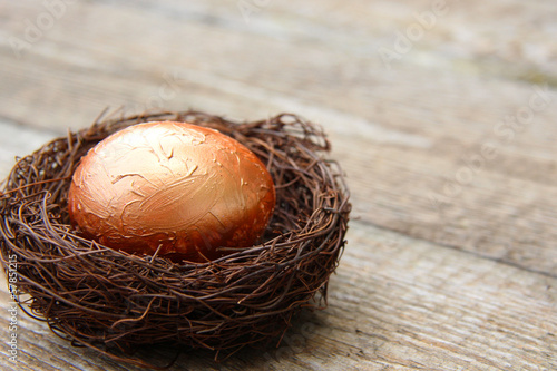 Bronze-Ei in Nest