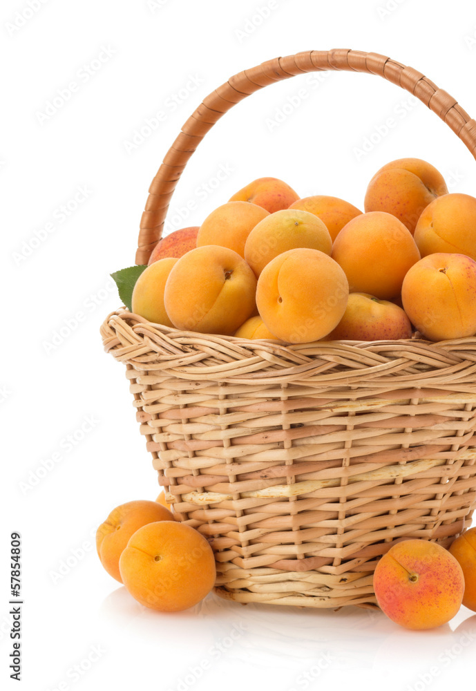 apricot on white background apricot on white background