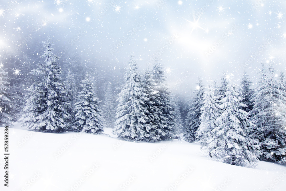 Naklejka premium Christmas background with snowy firs