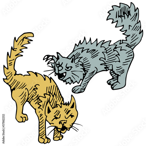 Cats Fighting