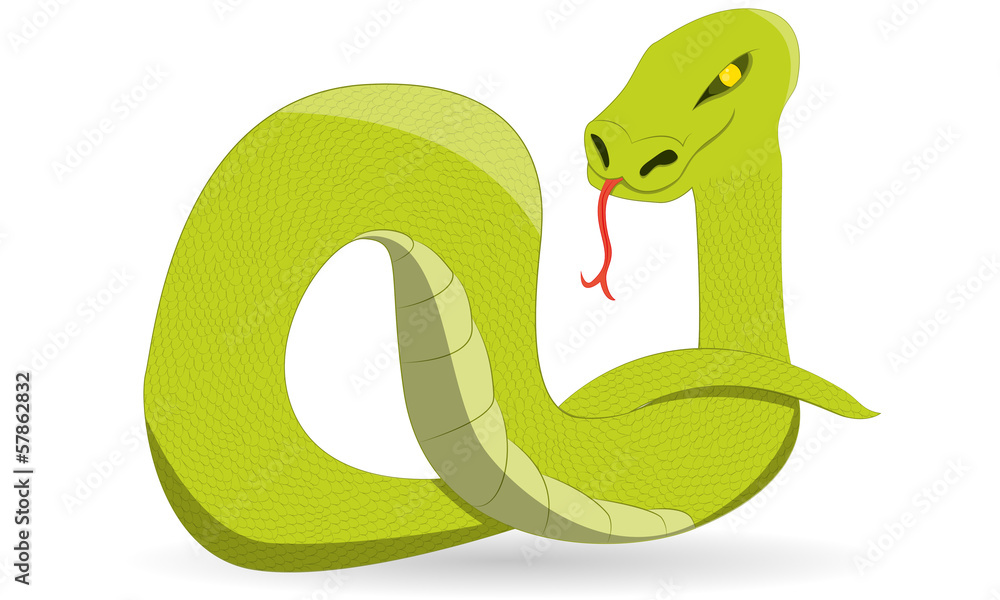 Fototapeta premium vector snake