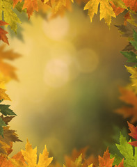 Fall leaves background