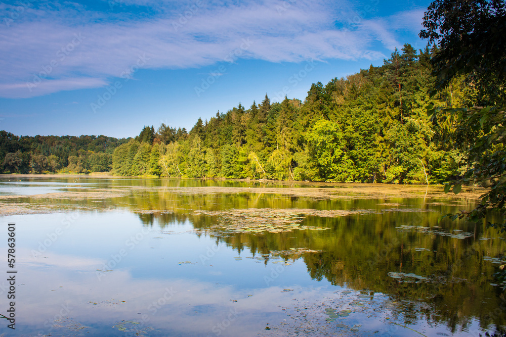 Obraz premium Lake and mirror of trees