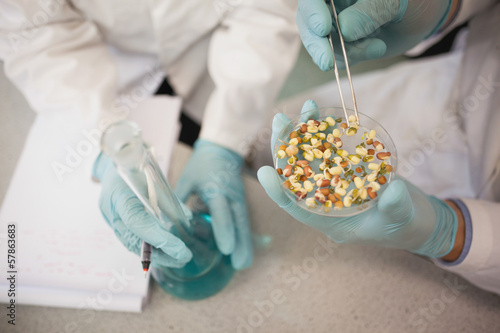 Close up of scientists working with an erlenmeyer flask and a petri dish