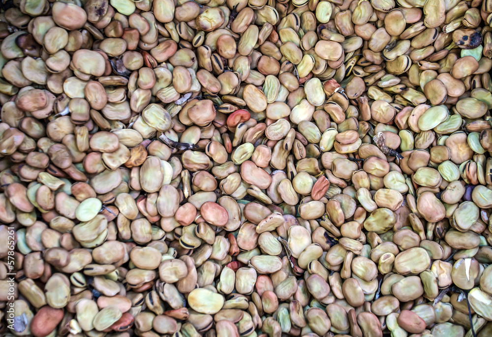 Fototapeta premium Broad beans.