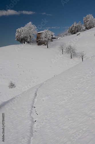 Monte Zambla - Baita photo