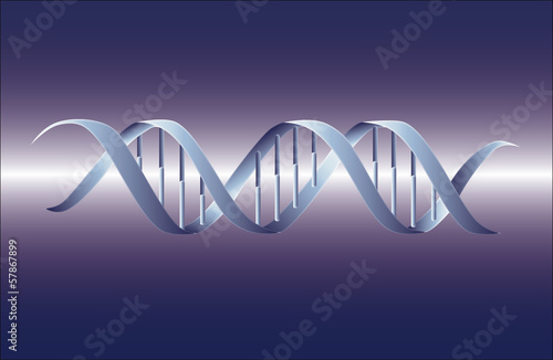 DNA