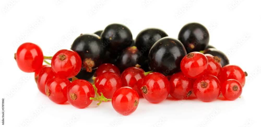 Red and black currant isolated on white Red and black currant isolated on white