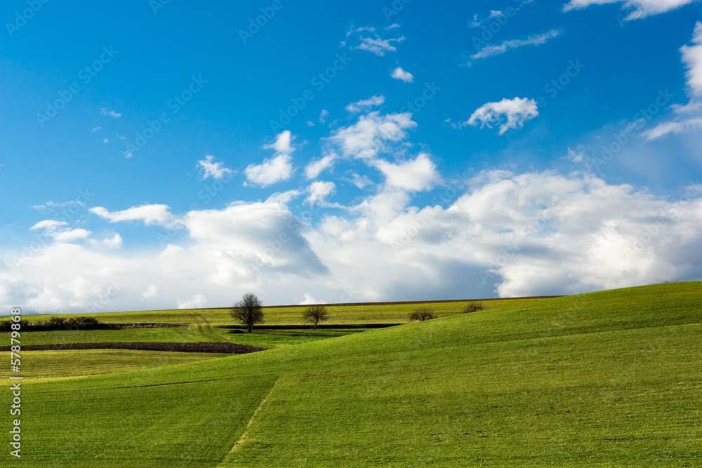 Fototapeta premium German landscape