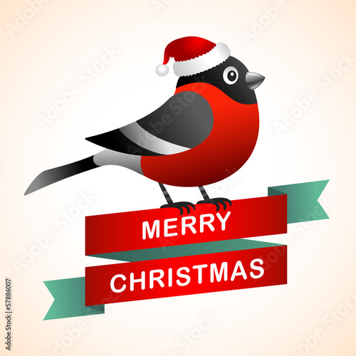 Christmas postcard will bullfinch