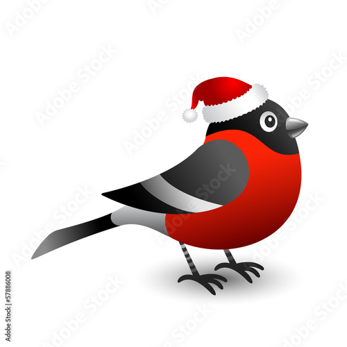 Bullfinch in red hat