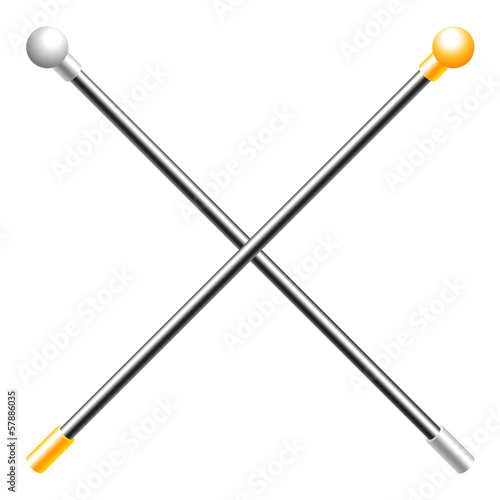 Walking stick