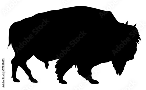 Buffalo