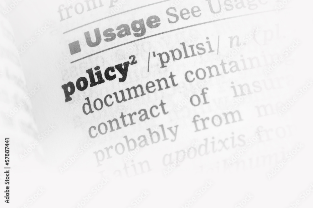 Obraz premium Policy Dictionary Definition