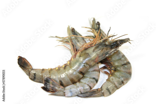 Tableau sur toile gambas